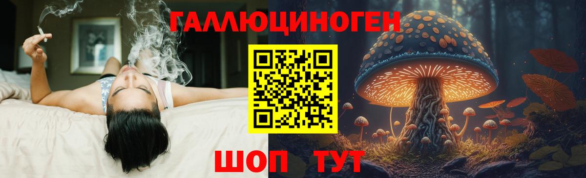 где купить   Вход с VPN  Губаха  Псилоцибиновые грибы мицелий 